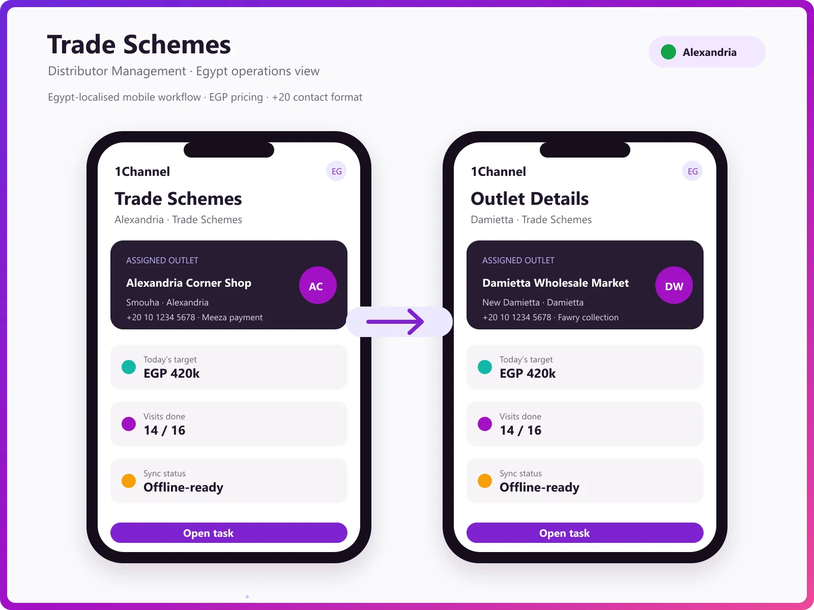 Scheme management software dashboard showing trade scheme setup, pricing rules, and promotion tracking