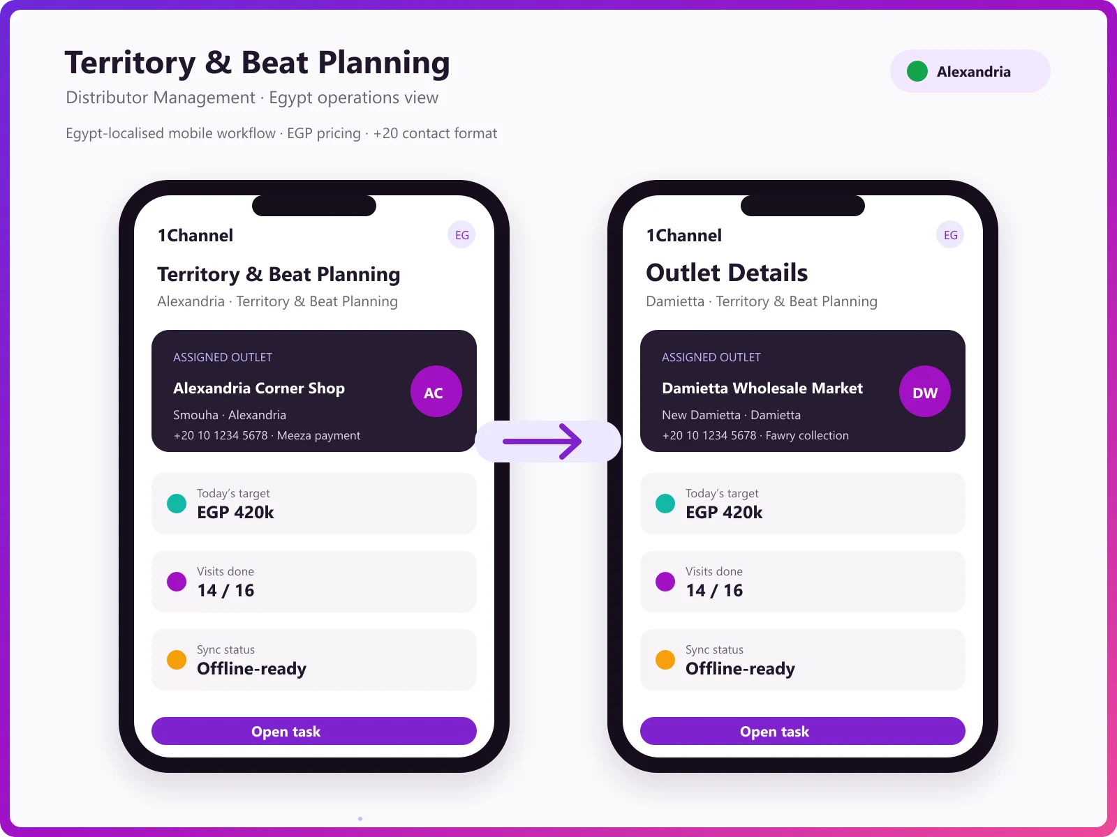 Territory management software mobile app showing beat planning, outlet mapping, and market visit tracking